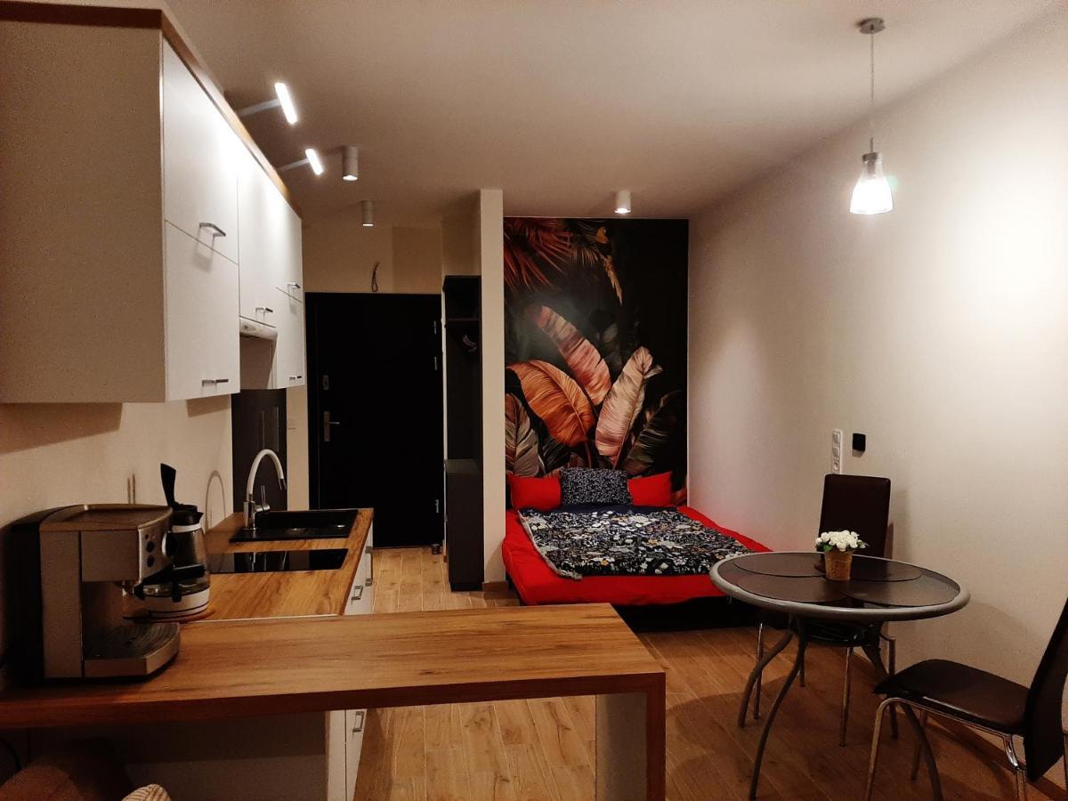 Apartament Pod Szyndzielnia, Debowiec Bielsko-Biała Exteriör bild